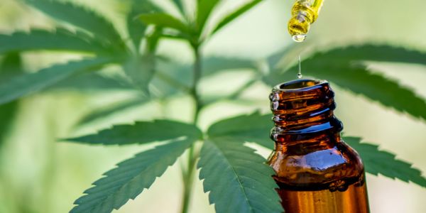 CBD und CBD-Öle: verschreibungspflichtig oder Nahrungsergänzungsmittel?