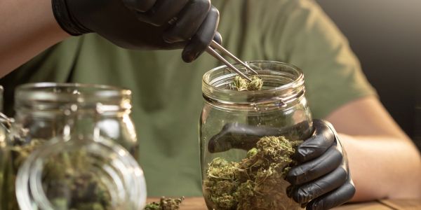 Cannabis richtig lagern – So bleiben Wirkung und Aroma erhalten