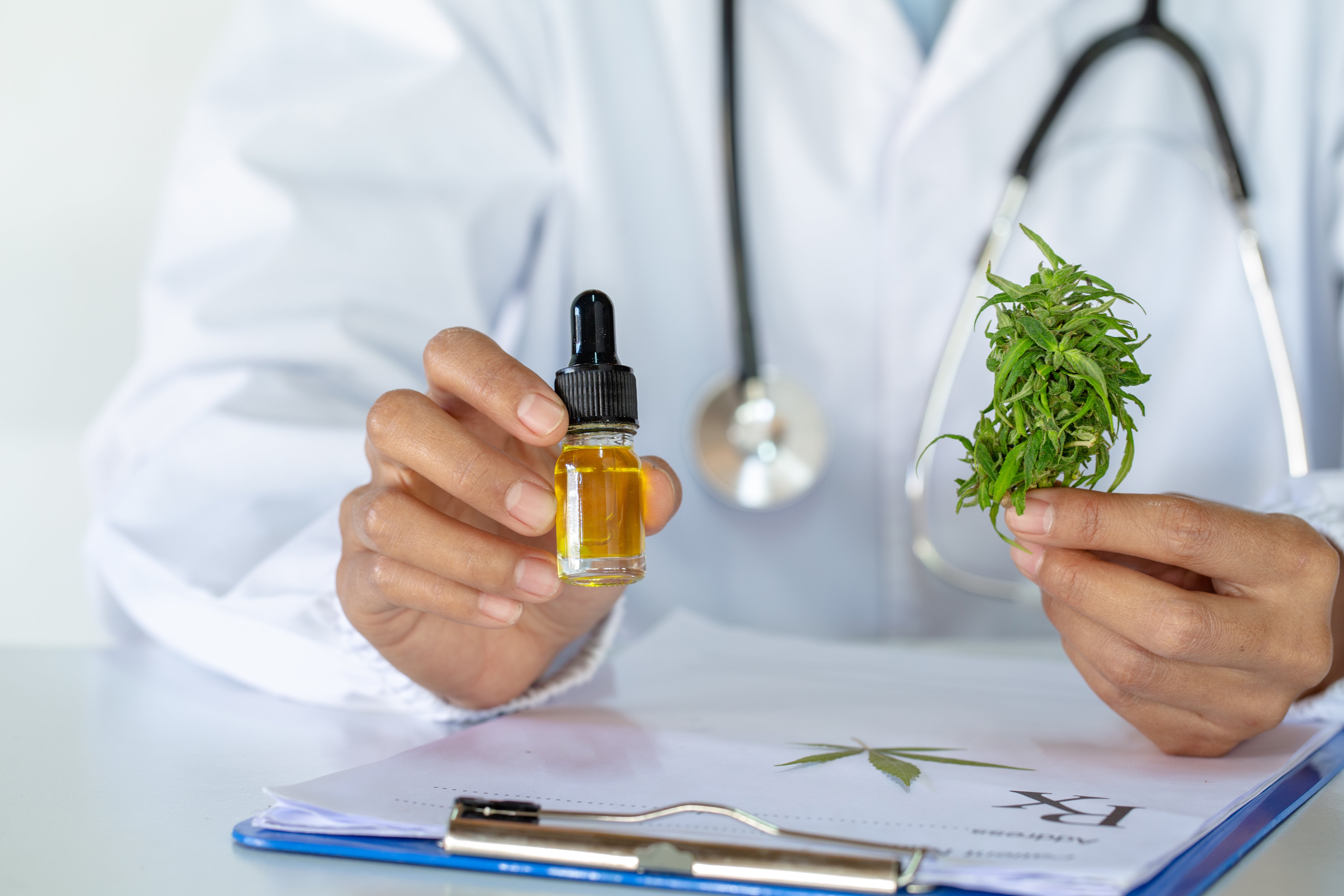 Cannabis-Rezept online: Vergleich der wichtigsten Anbieter 2026