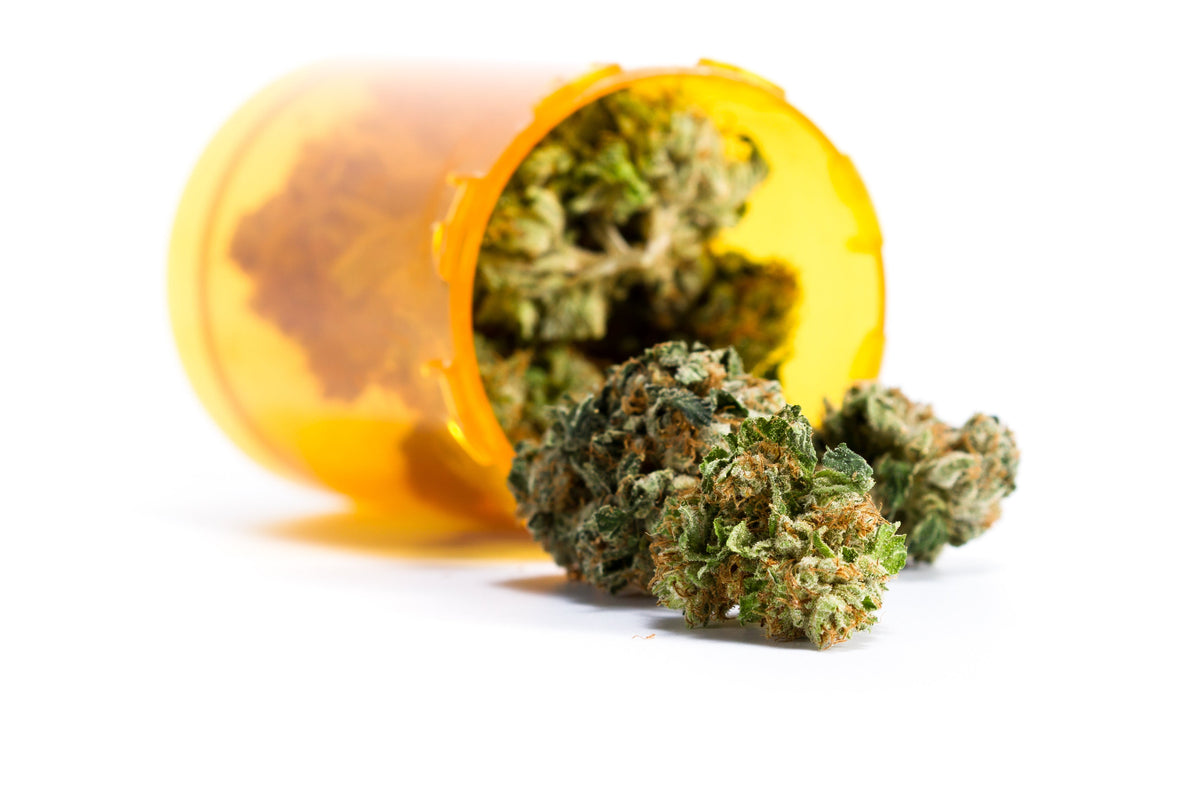 Cannabis auf Rezept: Indikationen, Kosten & Online-Arzttermin